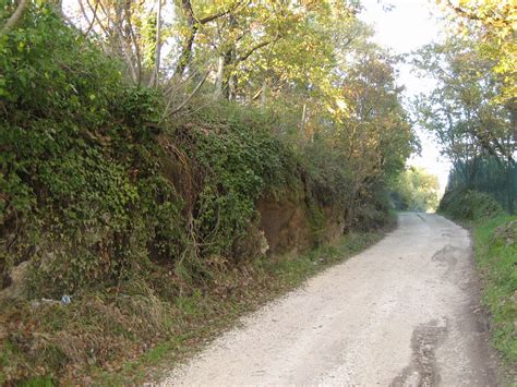 Strada vicinale di campagna