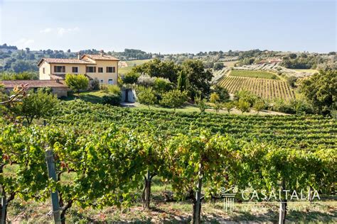 Paesaggio del Montalbano con vigneti e uliveti