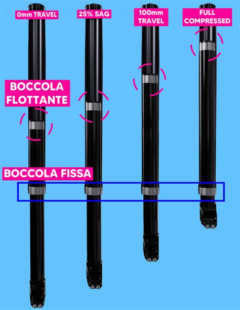 Diagramma forcella rovesciata
