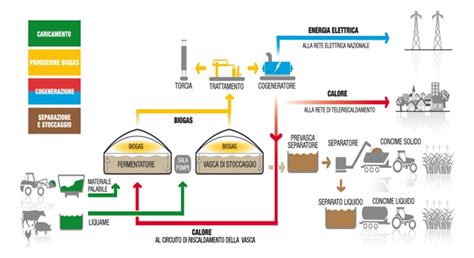 Diagramma che illustra i diversi metodi di produzione dell'idrogeno: SMR, gassificazione della biomassa, fermentazione ed elettrolisi.