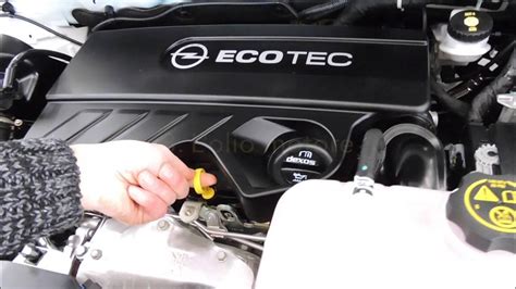 Verifica livelli liquidi auto