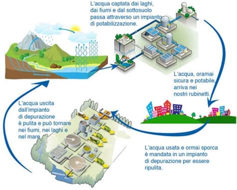 Diagramma che illustra il percorso dell'acqua in una lavastoviglie