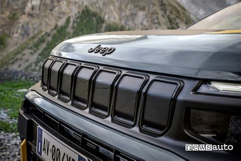 Logo Jeep e griglia