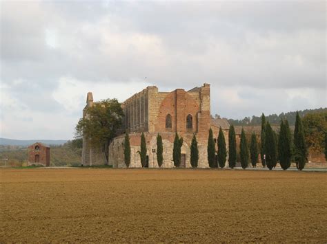 Crop Marks relativi a un grande edificio pertinente al monastero di San Galgano