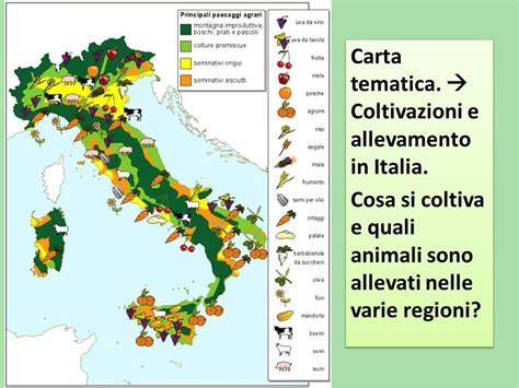 Mappa dell'Italia con evidenziate le principali aree di coltivazione del riso in Piemonte e Lombardia