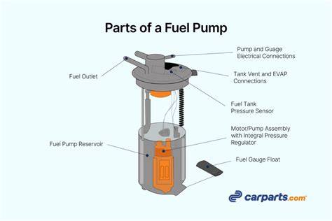Components of a Fuel Pump