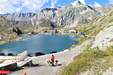 Colle del Gran San Bernardo