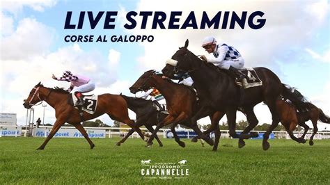 Cavalli al galoppo sull'Ippodromo Martini