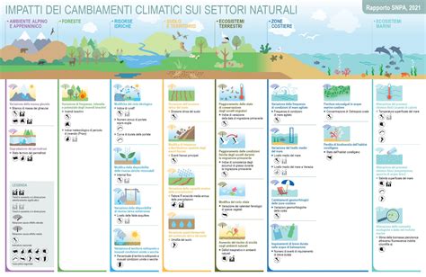 Infografica sull'impatto ambientale dei SUV