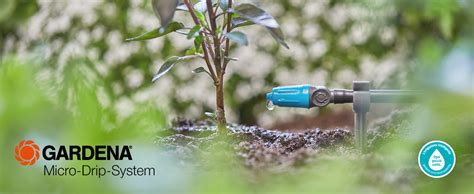 Immagine di un sistema di micro-irrigazione con gocciolatori