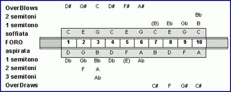 Tabella delle note di un'armonica diatonica in Do