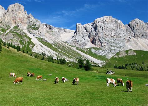 Paesaggio di montagna con uliveti e case tradizionali