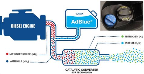 Componenti di un sistema AdBlue per auto