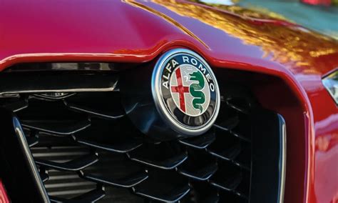 Interno di una concessionaria automobilistica moderna con diversi modelli Alfa Romeo in esposizione