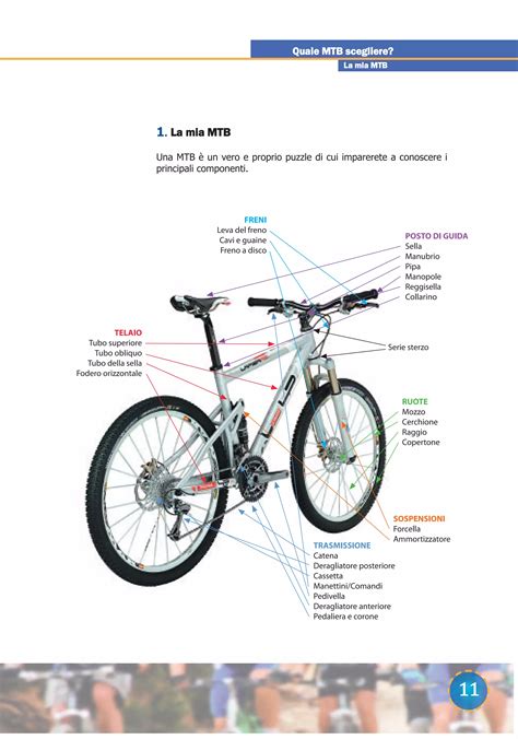Compatibilità componenti MTB