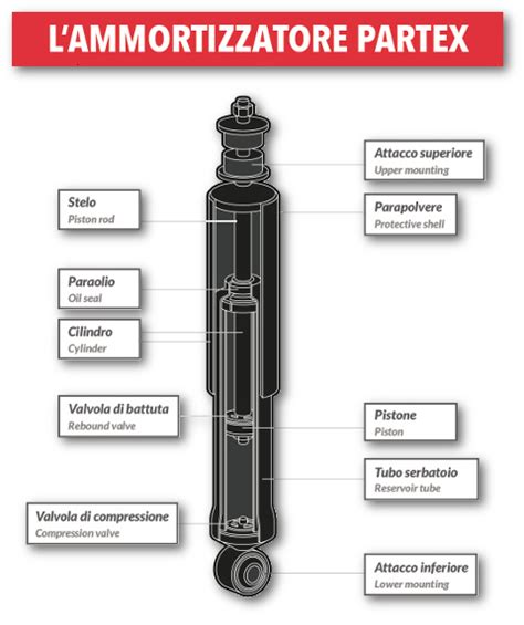 Schema ammortizzatore automobilistico