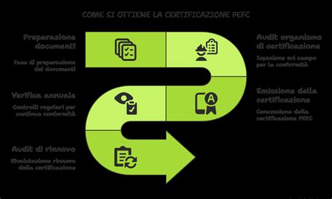 Infografica: processo di certificazione e garanzia dei veicoli usati