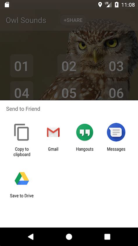 Interfaccia utente dell'app Owl Sounds con varie opzioni sonore