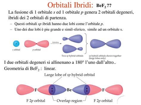 struttura molecolare dell'acqua con orbitali ibridi