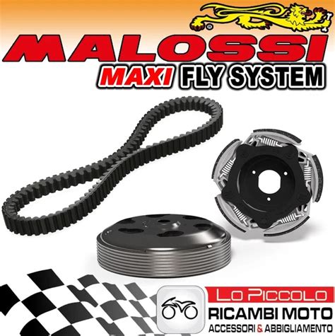 Schema frizione centrifuga Malossi Fly System