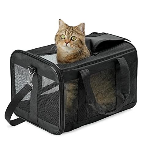 Gatto in trasportino in auto