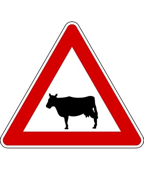 Segnaletica stradale per animali domestici