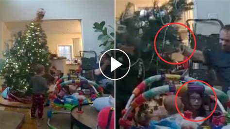 padre che salva la figlia dalla caduta