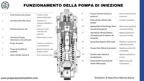 Codici identificativi e compatibilità della pompa di iniezione