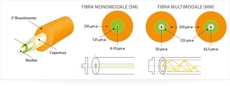 Diagramma della fibra ottica monomodale e multimodale
