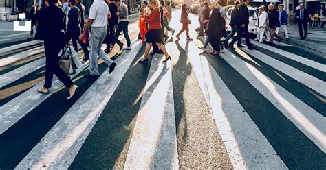 Immagine di persone che camminano in un ecosistema umido