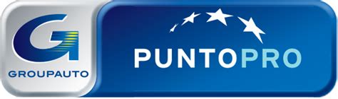Logo della rete PUNTOPRO