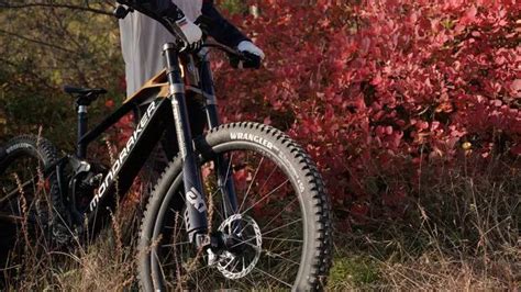 Mountain bike con forcella a doppia piastra