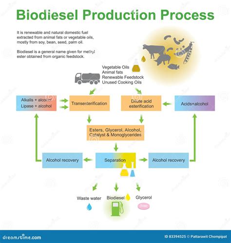 Processo di produzione del biodiesel