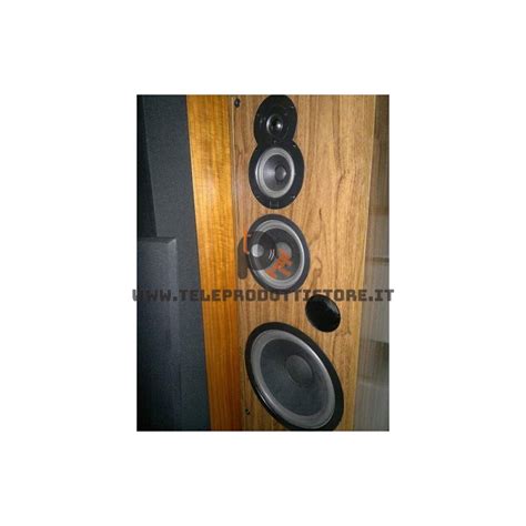 Dettaglio della sospensione del woofer di un diffusore ProAc