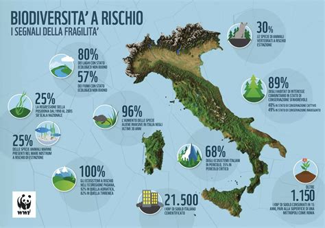 infografica sulla distribuzione dei consultori sul territorio italiano